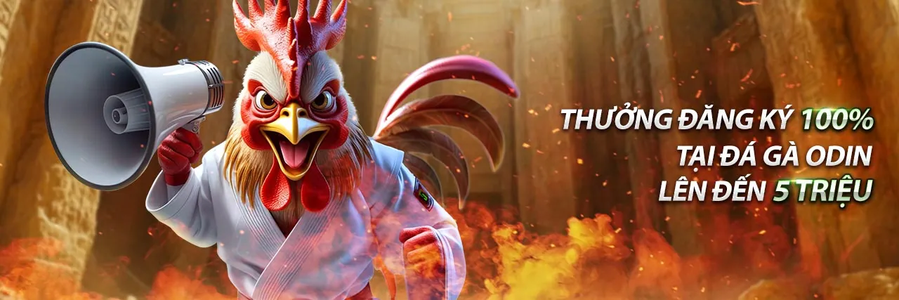 Trải nghiệm sòng bạc trực tuyến 55fit với Baccarat và Slot